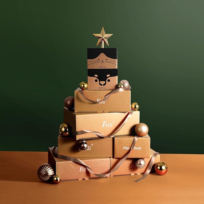 Felli Oblik Raised Dog Food Water Bowls for Small Short-Leg Dogs, Removable Stainless Steel Dish Dishwasher Safe, No Spill Tilted Metal Feeder for French Bulldog, Maine Coon Cats (1.5Cup, Shadow)