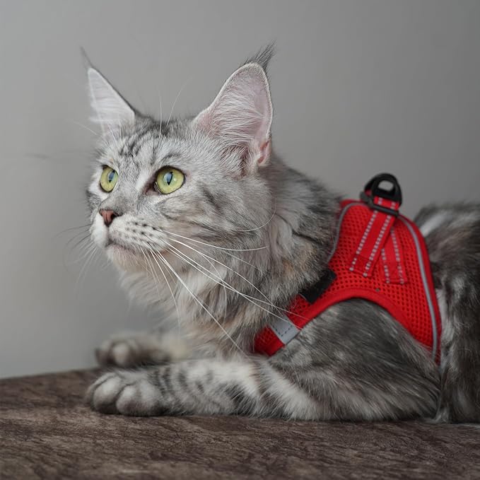 Dog Harness and Leash Set, No Pull Mesh Puppy Harness for Small Medium Sized Dogs, Pet Vest for Walking Running Training, Double D-Rings Reflective Strip