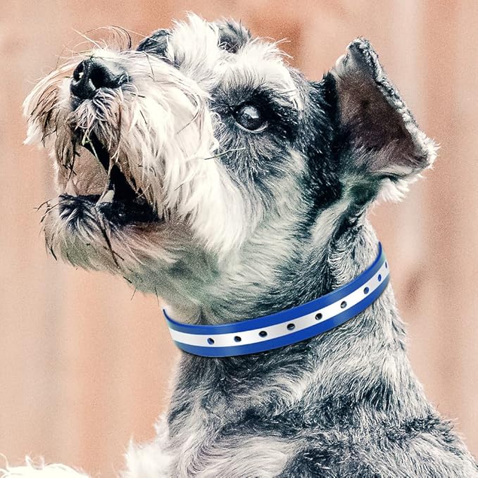 PetJoy Dog Collars Strap, Replacement Collar for Shock Reflective Collar, Adjustable Classic Dog Collar Strap for All Varieties Small Medium Large Dogs (Blue & Orange)