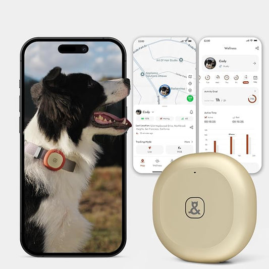 Molly&Cody GPS + Bluetooth Pet Tracker for Cats & Dogs – Real‑Time Tracking, Virtual Fence, IP67 Waterproof, Up to 60‑Day Battery, Health Monitoring, iOS/Android – Subscription Required (Gold)