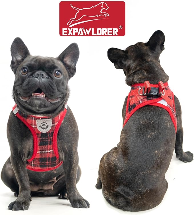 EXPAWLORER Classic Plaid Puppy Harness - Small Dog Harness and Leash Set - Dog Collar and Leash Set with AirTag Holder, Soft Padded Step in Dog Vest Harness No Pull Reflective for Outdoor, Red XS