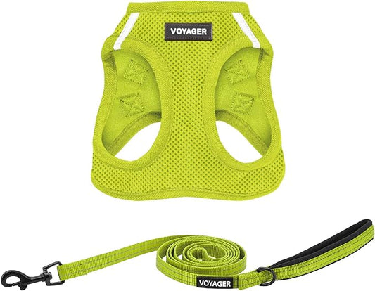 Voyager Step-in Air All Weather Mesh Harness and Reflective Dog 5 ft Leash Combo with Neoprene Handle, for Small, Medium and Large Breed Puppies by Best Pet Supplies - Set (Lime Green), M