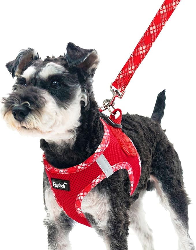 PUPTECK Dog Harness and Leash Set for Small Medium Dogs No Pull Step-in Soft Mesh Puppy Cat Vest Harnesses Reflective at Night, Red, L