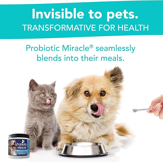 Probiotics for Cats & Dogs : Probiotic Miracle : Bowel & Gut Support : Digestive Health : Stop Diarrhea, Loose Stool