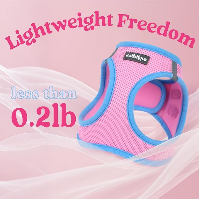 rabbitgoo Dog Harness Small Sized and Leash Set, Step-in Breathable Pet Harness, Soft Walking Reflective Puppy Vest for Small Dogs, Pink & Light Blue, L