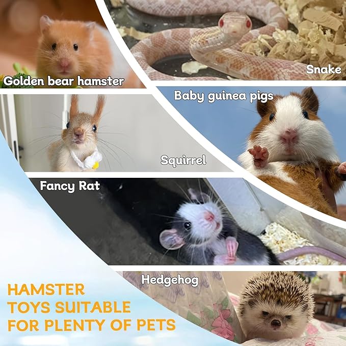 Hamiledyi Wooden Hamsters 2-Chamber Hideout-Tunnel Multi Chamber Exploring Toy Rat Exploring Tunnel Toy for Mice Guinea Pig Hedgehog Squirrel Sugar Glider(XL)