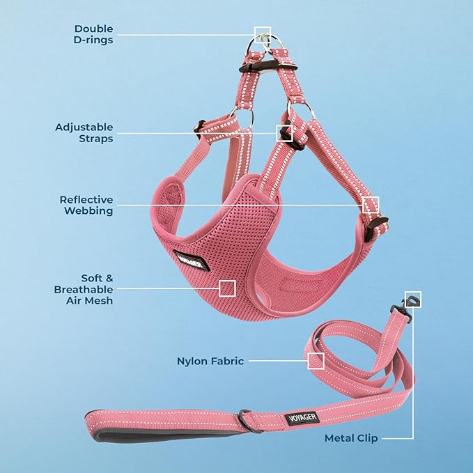 Best Pet Supplies Voyager Mesh Dog Breathable Harness Reflective Stitching, All Weather Adjustable for Walking Training, or Running - Heavy Duty & Durable, Harness Leash Set (Pink), L
