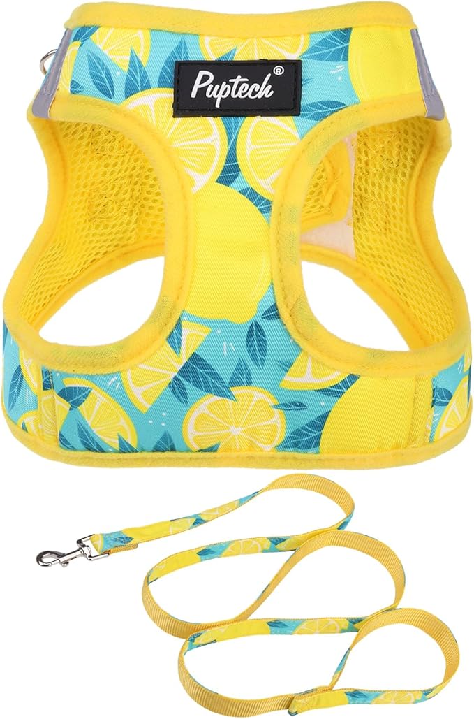 PUPTECK Dog Harness and Leash Set for Small Medium Dogs No Pull Step-in Soft Mesh Puppy Cat Vest Harnesses Reflective at Night, Yellow Lemon, S