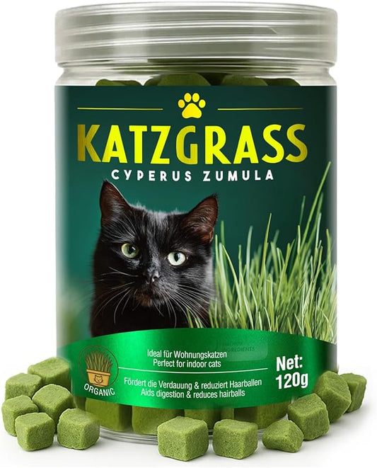Cat Grass Treats, Natural & Health Cat Treats, Natural Hairball Relief & Teeth Cleaning Chews for Indoor Cats