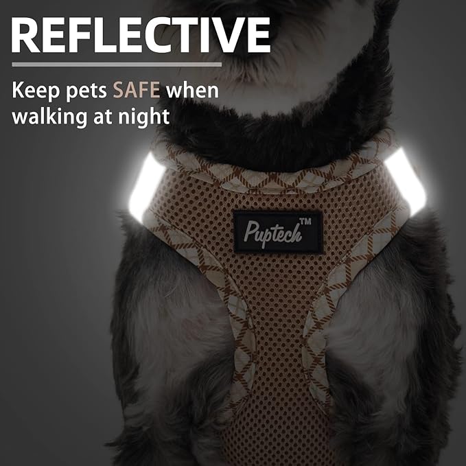 PUPTECK Dog Harness and Leash Set for Small Medium Dogs No Pull Step-in Soft Mesh Puppy Cat Vest Harnesses Reflective at Night, Beige S