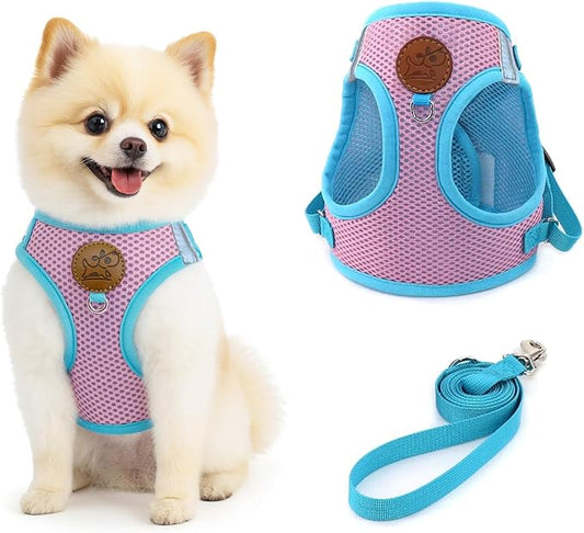 Small Dog Harness and Leash Set, Adjustable Step-in Dog Harness with Back Clip, Reflective Escape Proof Easy Walk Dog Harness for Small Sized Dog, Puppy, Cats (PinkBlue S)