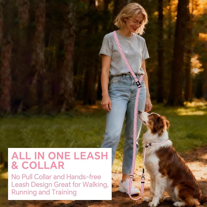 QQPETS Adjustable Slip Lead Dog Leash, Hands Free Waist Leash for Dog Walking, Reflective Training Lead with 360° Swivel Anti-Tangle, 4-7 ft Length for All Breeds