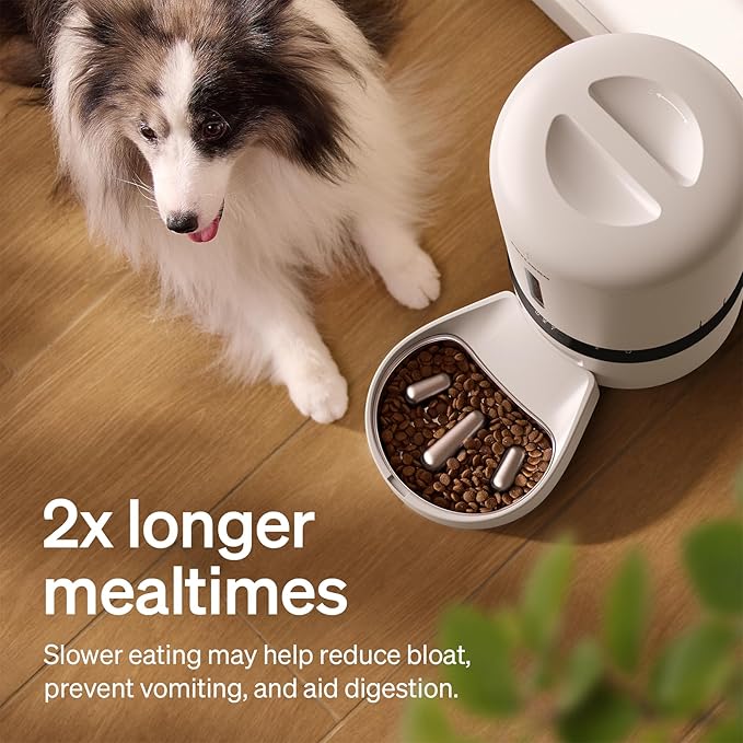 PETLIBRO Automatic Cat Feeder with Camera, Auto Pet Food Dispenser Slow Feeder Dog Bowl 1080P HD Video with Night Vision 5G WiFi Pet Feeder with 2-Way Audio, Stainless Steel Slow Food Tray