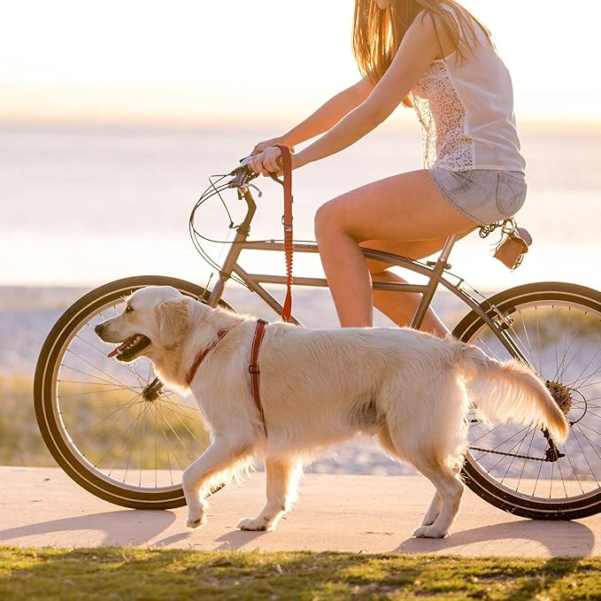 EzyDog Zero Shock Dog Leash - Shock Absorbing Bungee Leash for Dogs That Pull or Excite - Dual Handle and Reflective for Large, Medium, or Small Dogs (25-inch, Blue