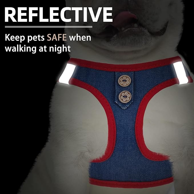 PUPTECK Dog Harness and Leash Set for Small Medium Dogs No Pull Step-in Soft Mesh Puppy Cat Vest Harnesses Reflective at Night, Denim NavyBlue S