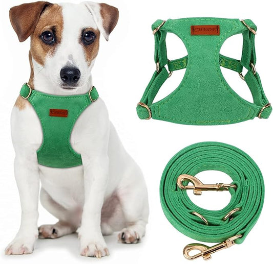 CHEDE No Pull Puppy Harness and Multifunction Dog Leash Set- 8 Colors Soft Adjustable No Choke Escape Proof Cute,Lightweight Pet Vest Harness for Small and Medium Dog (M, Green)