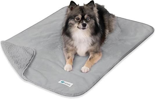 PetAmi Waterproof Dog Blanket for Small Medium Dogs, Pee Proof Pet Blanket for Couch Bed, Reversible Water Proof Blanket for Puppy Indoor Cat, Soft Dog Fleece Blankets Washable, 29x40 Light Gray