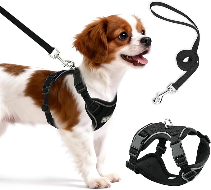 Small Dog Harness and Leash Set, Reflective Soft Breathable Mesh Vest, 3 Buckles, Adjustable Neck and Chest,Step in Dog Harness for Walking, Running, Training, Black, M
