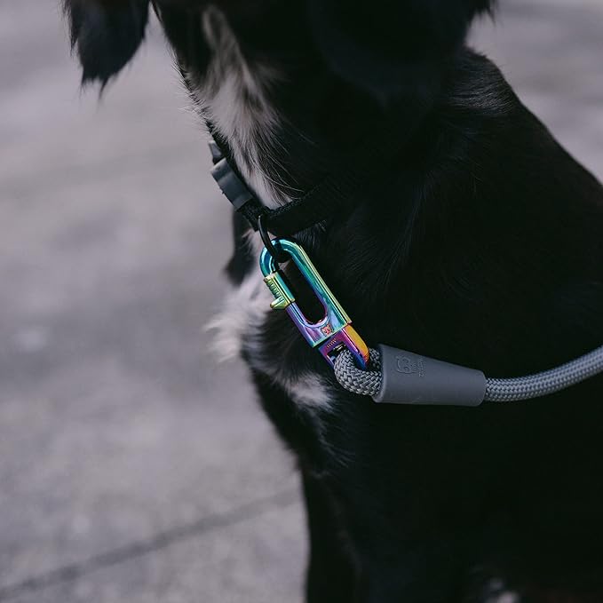 Titanium Grey 4-in-1 Hands-Free Dog Leash – Adjustable for Crossbody, Waist, Long Leash, or Tether Use – Stylish, Lightweight, and Comfortable for Everyday Walks