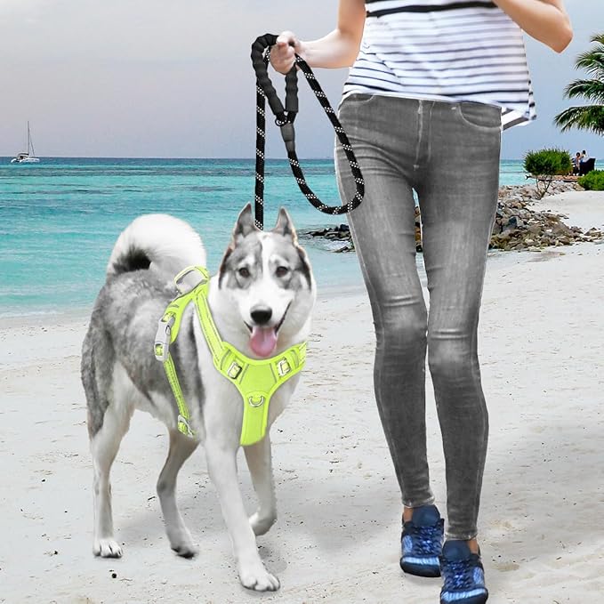 BARKBAY No Pull Dog Harness Large Reflective Dog Harness with Front Clip and Easy Control Handle for Walking Training Running with ID tag Pocket(Sunlight,L)
