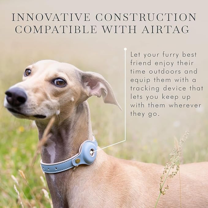 NINA WOOF Cupertino Dog Collars, Harnesses & Leashes Made from Vegan Leather with Dog Tracker Device Holder Adjustable Dog Collar - Color Blue, Large