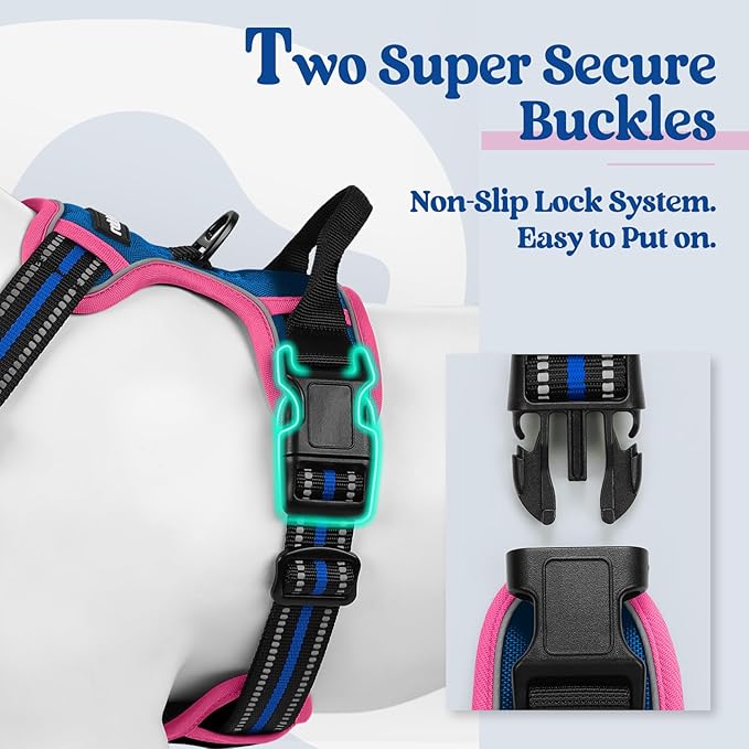 rabbitgoo Dog Harness No Pull with 2 Leash Clips, Adjustable Soft Padded, Reflective Oxford No Choke Pet Vest with Easy Control Handle for Large Dogs, Blue & Hot Pink, L