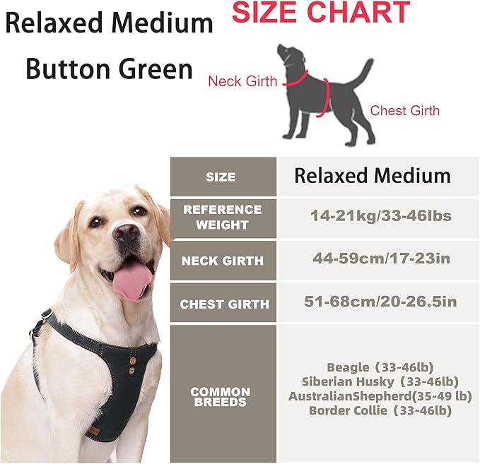 Dog Harness, No Pull Dogs Harness and Multi-Function Leash Set for Medium Dogs Easy Walk Everyday Adjustable Soft Dog Vest Harness Fashionable Dog Accessories Denim Vintage Green-Button-Relaxed Medium