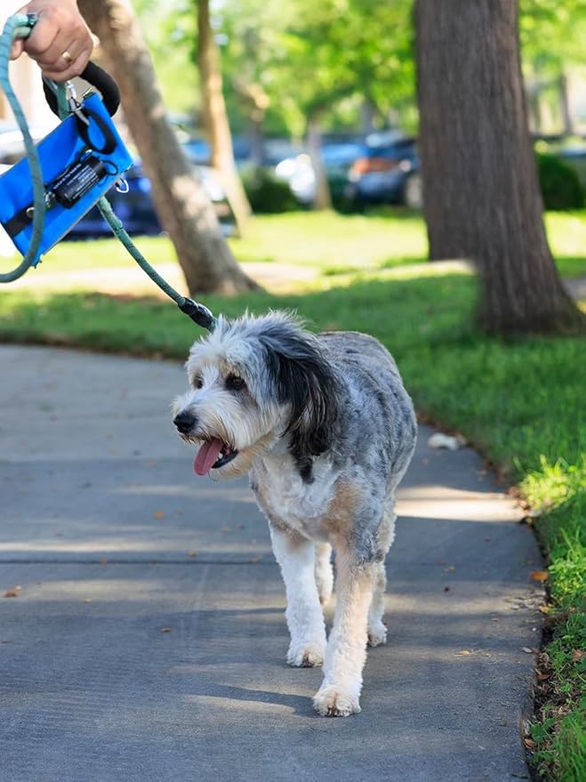 Poop Bag Holders for Leashes with Dog Poop Bags Rolls Biodegradable - Puppy Essentials & Litter Supplies - Durable Dispenser & Leak-Proof Pet Bags, Walking Parks Doggy Accessories Boy Girl Shadow Paw