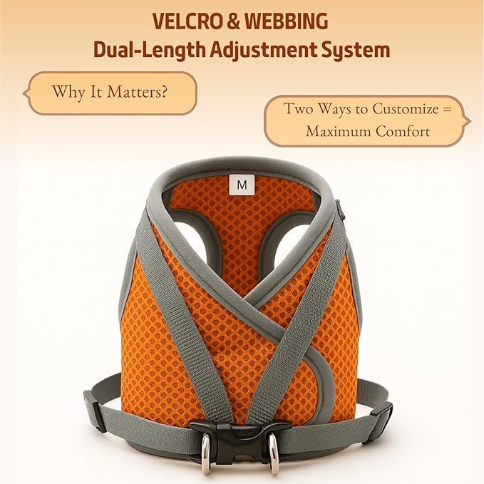 Small Dog Harness and Leash Set, Adjustable Step-in Dog Harness with Back Clip, Reflective Escape Proof Easy Walk Dog Harness for Small Sized Dog, Puppy, Cats (OrangeGrey M)