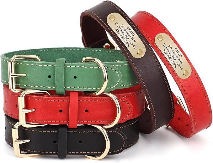 Moonpet Personalized Custom Leather Dog Collar with Engravable Nameplate with Airtag Holder Case- Durable Name Tag Collar - Customizable Dog Collar - Comfortable ID Collars for X-Small Dogs-Brown-XS