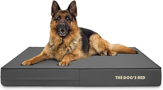 The Dog’s Bed Orthopedic Memory Foam Dog Bed, XL Grey & Black, Waterproof, Supportive Dog Bed with Replaceable Covers, Veterinary Approved