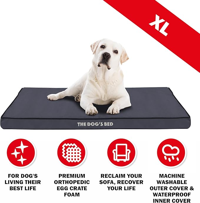 The Dog’s Bed Orthopedic Dog Bed, XL Grey with Black Trim, Waterproof, Supportive Dog Bed with Washable Replaceable Covers, Veterinary Approved