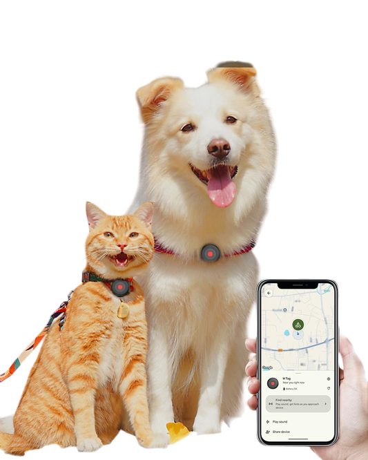 Bluetooth Dog Tracker Tag, Pet Tracker for Dogs with Silicone Collar Holder, Works with Apple Find My & Android Find Hub, IP67 Waterproof Anti-Lost Locator, Black 2 Pack