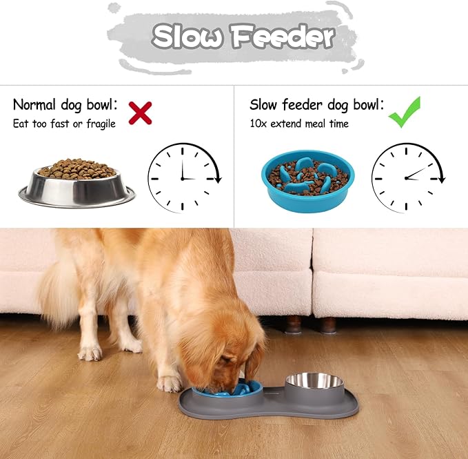 MateeyLife Dog Food Bowl Set 3 in 1, Basic Dog Bowls & Water Stainless Steel Bowl with Non-Spill Silicone Mat, Slow Feeder Bowls for Small, Medium, Large Breeds, Cat Feeding Dish to Anti-Choking