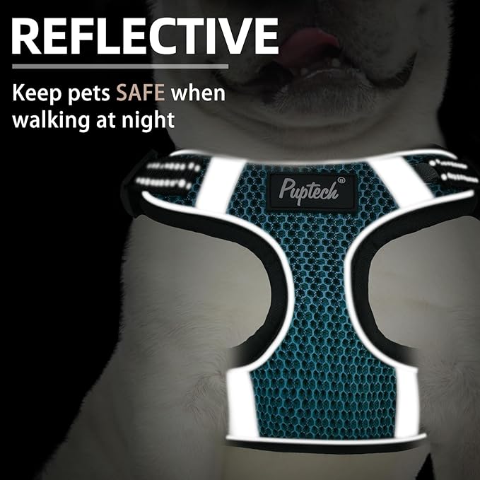 PUPTECK Dog Harness and Leash Set Medium Sized, Step in No Pull Adjustable Puppy Cat Harness Reflective Pet Vest