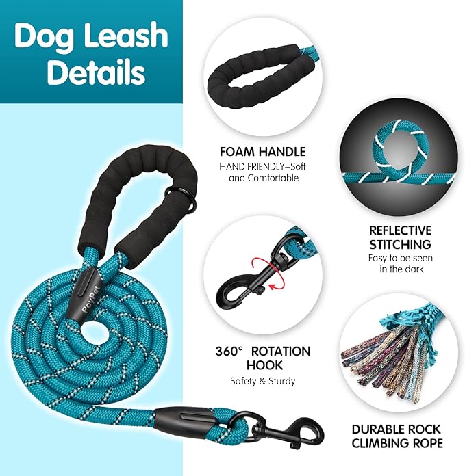 PoyPet No Pull Dog Harness and 5 Feet Leash Set, Release on Neck Reflective Adjustable Pet Vest, Front & Back 2 D-Ring and Soft Padded Pet Harness with Handle for Small to Large Dogs(Tumalo Teal,M)