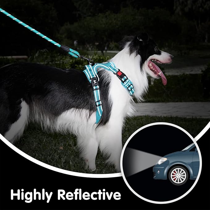 PoyPet No Pull Dog Harness and 5 Feet Leash Set, Release on Neck Reflective Adjustable Pet Vest, Front & Back 2 D-Ring and Soft Padded Pet Harness with Handle for Small to Large Dogs(Light Blue,M)