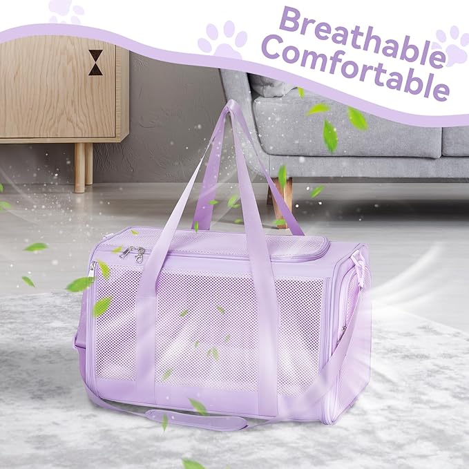 PETSFIT Cat Car Carrier for Medium Cats Dogs, 19"x12"x12" Small Dog Carrier, with Patent Safety Buckles and Escape-Proof Zipper - Safeguarding Car Travel, Vet Visit, Outdoor