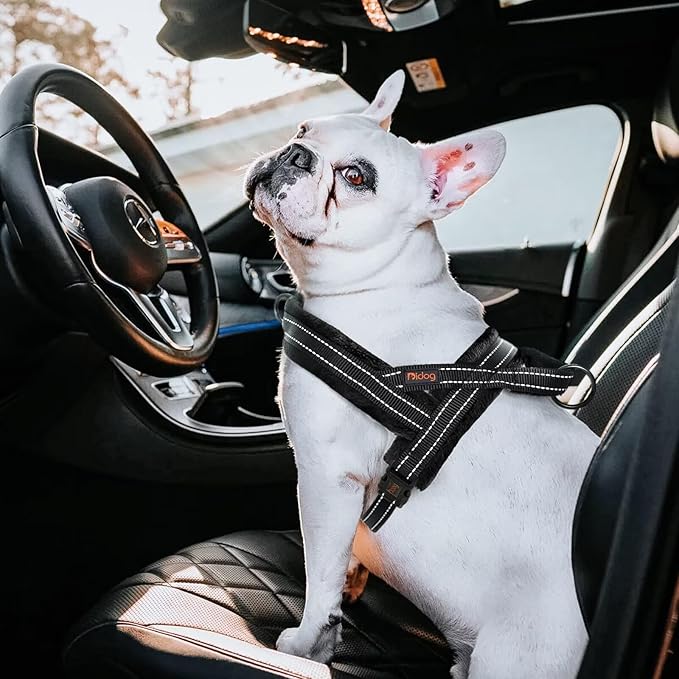 Didog Soft Flannel Padded Dog Vest Harness, No Pull/Quick Fit Reflective Dog Strap Harness, Easy for Training Walking (M:Chest 21-26", Black)