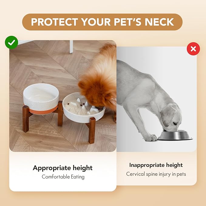 Ceramic 1.2 Cup Raised Slow Feeder Dog Bowl Set, Elevated 6.1inch Bowl and 7.3inch Slow Feeder Dish with Acacia Wood Stand for Small and Medium Dogs (2 x Vanilla White+ Stand)