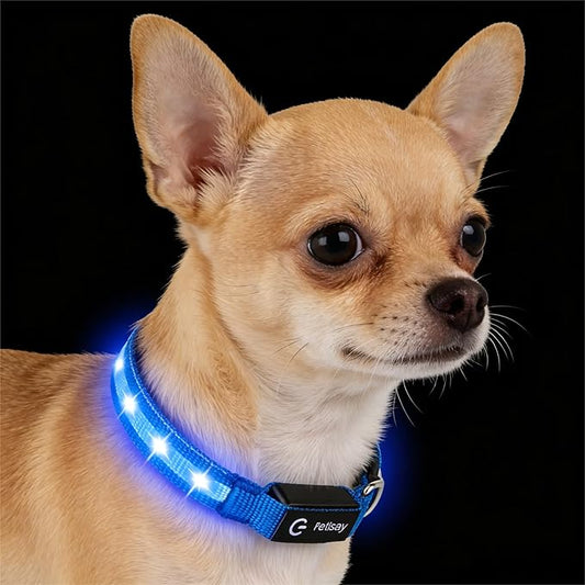 LED Dog Collar for Small Dogs Cats - Fully Waterproof & Adjustable Glow Collar - USB-C Rechargeable for Night Walking, Safety - Flashing Lighted Collar for Dogs(Blue,XS)