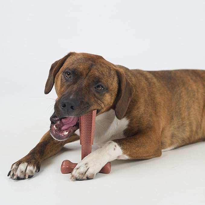 SPOT Bam-Bones Plus T Bone – Bamboo Fiber & Nylon Dog Chew Toy for Moderate to Aggressive Chewers, Durable Long Lasting & Non-Splintering, Beef Flavor Toy for Adult Dogs & Puppies Under 60 lbs, 6 in