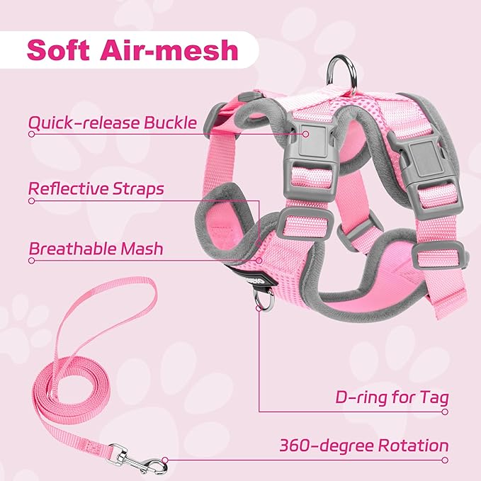 Small Dog Harness and Leash Set, No Pull Adjustable Pet Harness for Small Dogs, Breathable Mesh Rflective Dog Vest Harness (Pink, XXS)