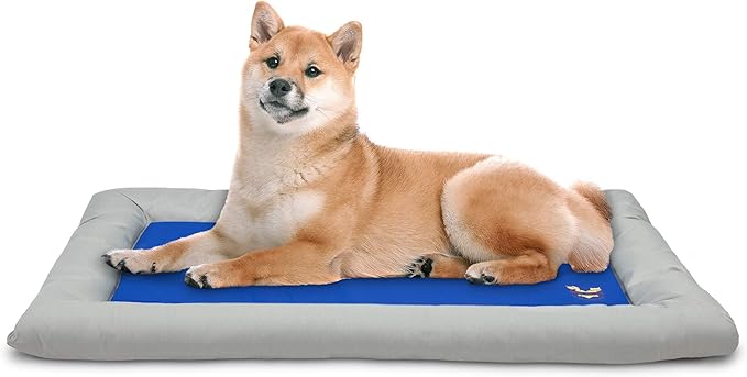 Arf Pets Dog Self Cooling Bed Pet Bed – Solid Gel Based Self Cooling Mat for Pets, Includes a Foam Based Bolster Bed for Extra Comfort