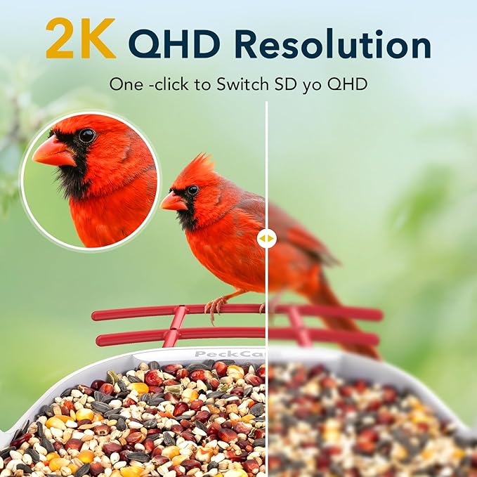Smart Bird Feeder with Camera 2K Live Real-Time Alert AI Identify with 32G Card DIY Attachments Camera Bird Feeder Solar Powered Wireless Outdoor Birdwatching Gift for Birds Lover, Red