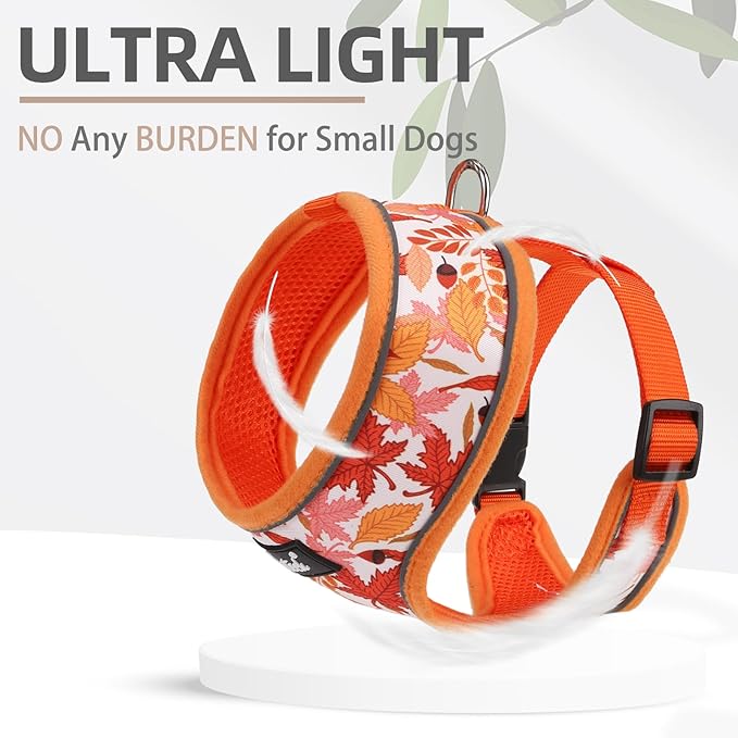 PUPTECK Soft Mesh Dog Harness and Leash Set Pet Puppy Cat Comfort Padded Vest No Pull Harnesses, Orange Leaf, S