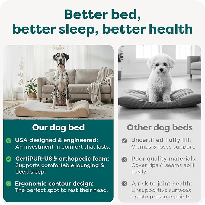 FurHaven Orthopedic Dog Bed for Large Dogs, Luxe Lounger Contour Mattress with Solid Orthopedic Foam Slab for Joint Support, Removable Washable Cover - Jumbo Plus XXL, Plush Suede, Cream