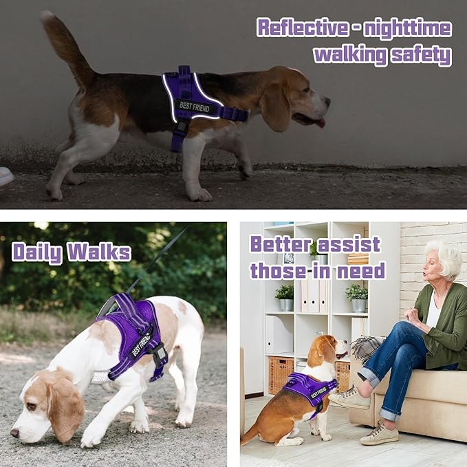 AUROTH Dog Harness and Leash Set, Soft Padded Dog Vest with 5.25FT Dog Leash, No Choke, Easy On Pet Vest, Adjustable Reflective No Pull Dog Harness for Large Dogs, Easy Walking and Training