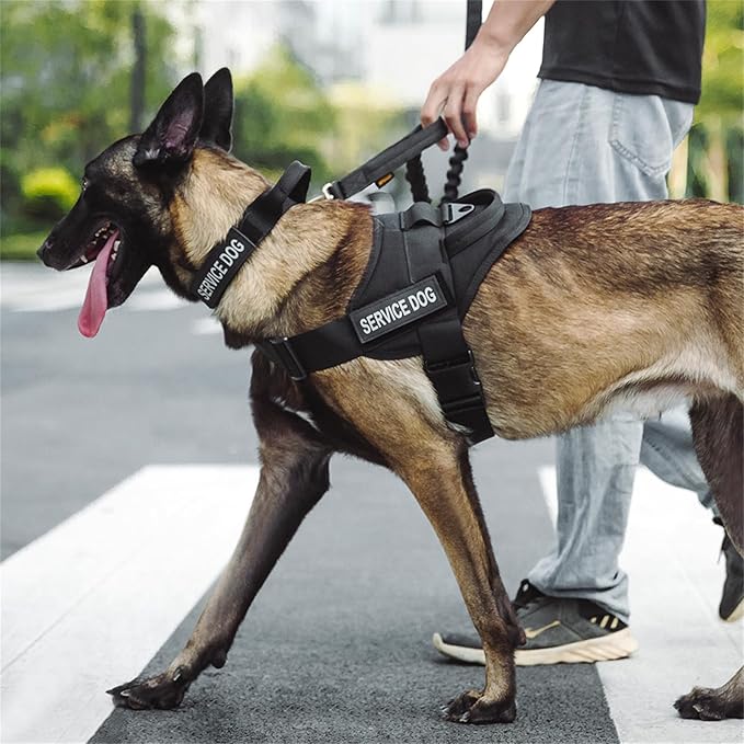 Excellent Elite SPANKERTactical Dog Vest Training Military Patrol Service Dog Harness Adjustable Nylon Dog Harness with Handle(Black-S)