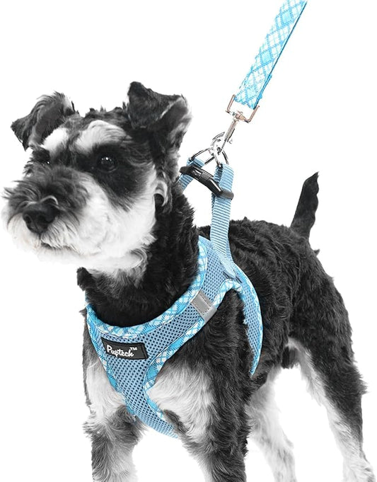 PUPTECK Dog Harness and Leash Set for Small Medium Dogs No Pull Step-in Soft Mesh Puppy Cat Vest Harnesses Reflective at Night, Sky Blue, L